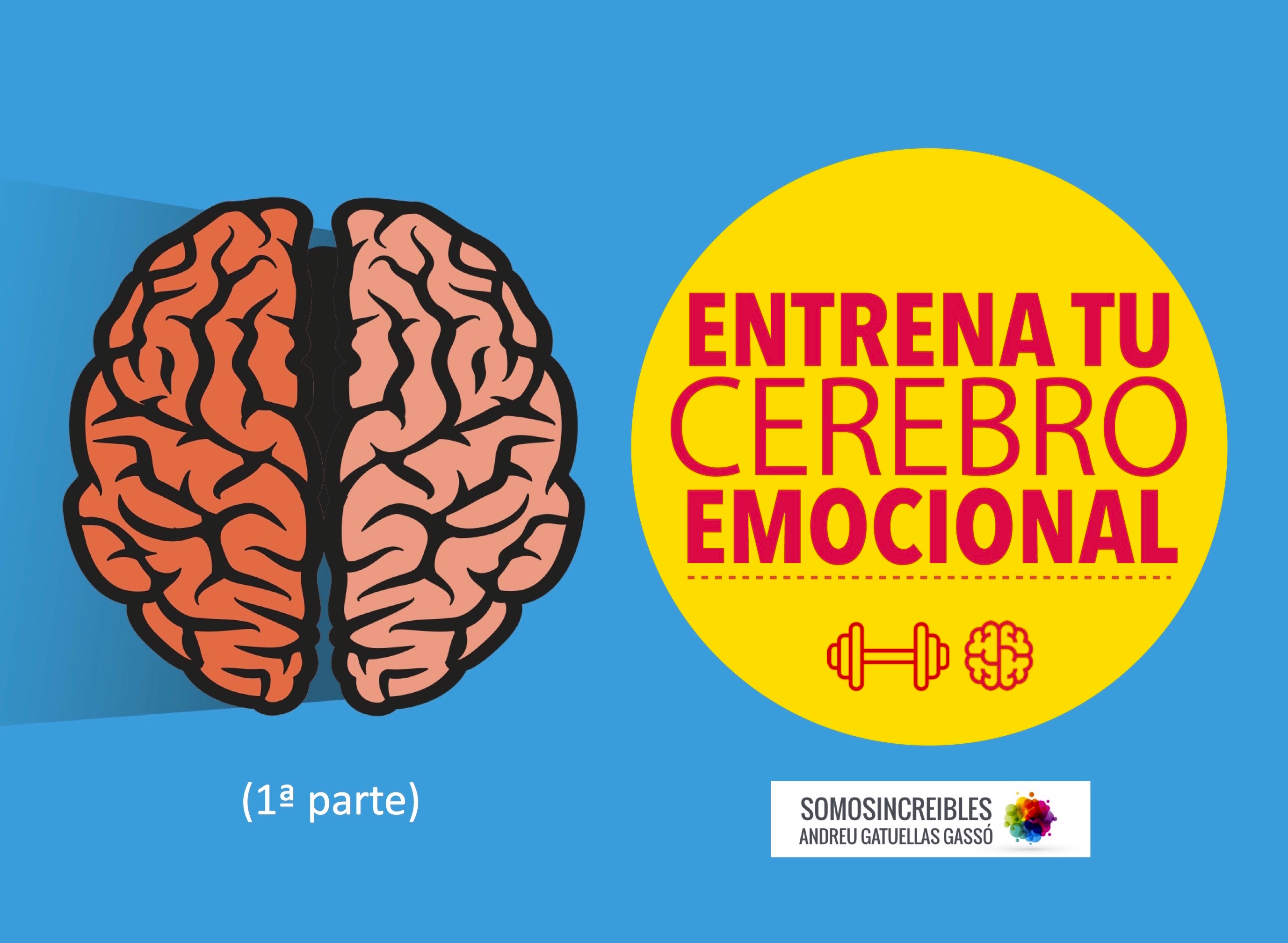 10 Maneras De Entrenar Tu Cerebro Emocional (Primera Entrega 1/2 ...